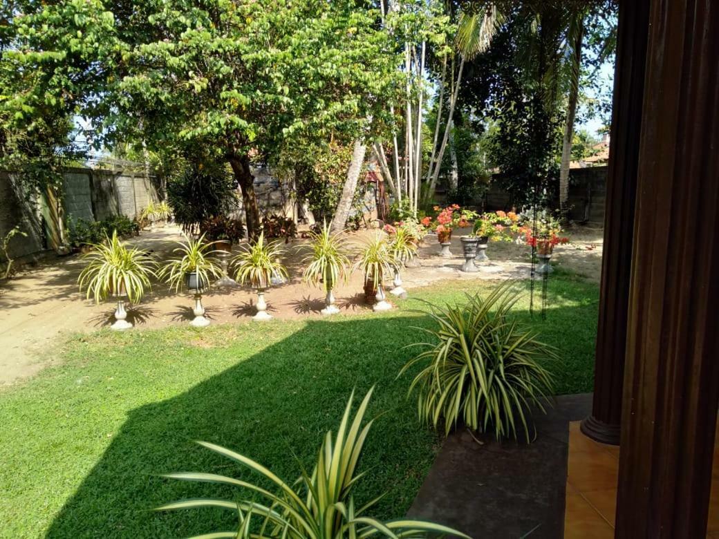 Lidwins Inn 15 Minutes To The Airport Negombo Exterior foto